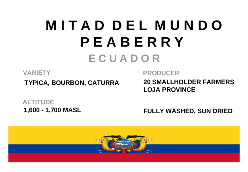 Ecuador - Mitad del Mundo Peaberry