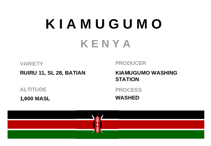 Kenya Kiamugumo AA